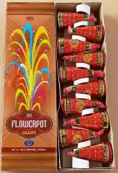 FLOWER POTS GIANT