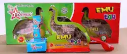 EMU EGG