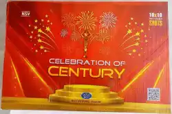 10 X 10 CENTURY