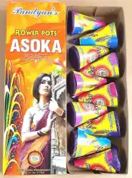FLOWER POTS ASHOKA